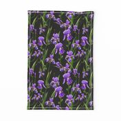 Seamless pattern with iris flowers