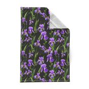 Seamless pattern with iris flowers