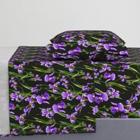 Seamless pattern with iris flowers