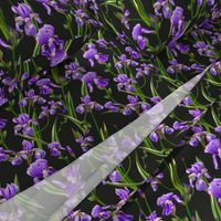 Seamless pattern with iris flowers