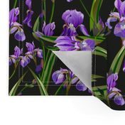 Seamless pattern with iris flowers