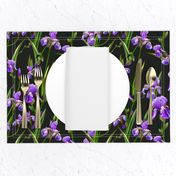 Seamless pattern with iris flowers