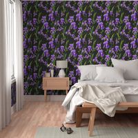 Seamless pattern with iris flowers