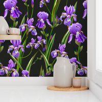 Seamless pattern with iris flowers