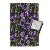 Seamless pattern with iris flowers