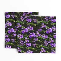 Seamless pattern with iris flowers