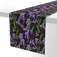 Seamless pattern with iris flowers