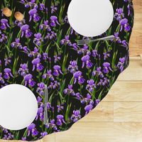 Seamless pattern with iris flowers