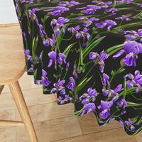 Seamless pattern with iris flowers