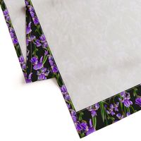 Seamless pattern with iris flowers