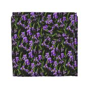 Seamless pattern with iris flowers