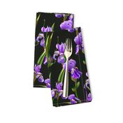 Seamless pattern with iris flowers