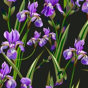 Seamless pattern with iris flowers