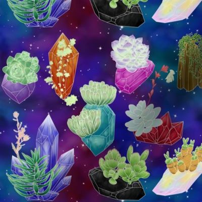 Crystal Succulents - Galaxy