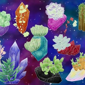Crystal Succulents - Galaxy