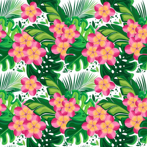 Blossoming tropics