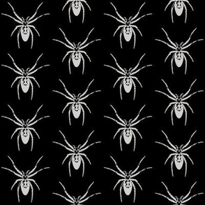 Tiny Spiders, Silver Gray on Black