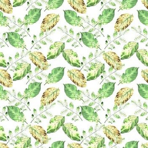 Watercolor hand painted pattern with leaves