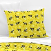 Zebras on yellow