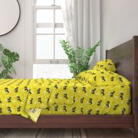 Zebras on yellow