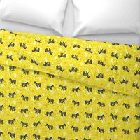 Zebras on yellow