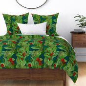 cannas spoonflower