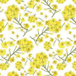 Floral Love of Mustard