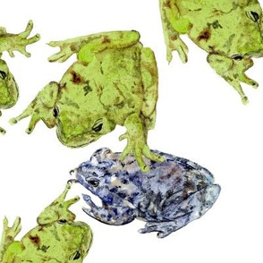 Frisky Frogs 