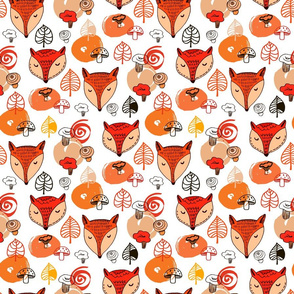 Fox pattern