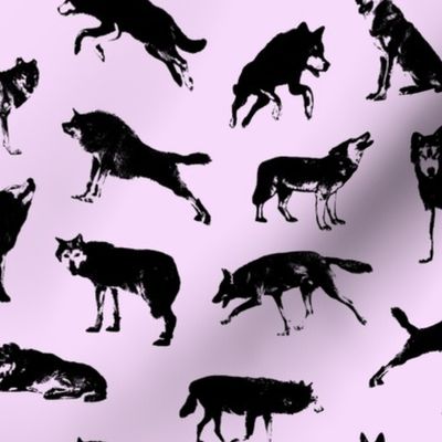 Wolves on Lavender // Large-size