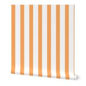 Bold Stripe Vertical Orange