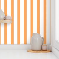 Bold Stripe Vertical Orange