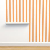 Bold Stripe Vertical Orange