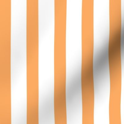 Bold Stripe Vertical Orange