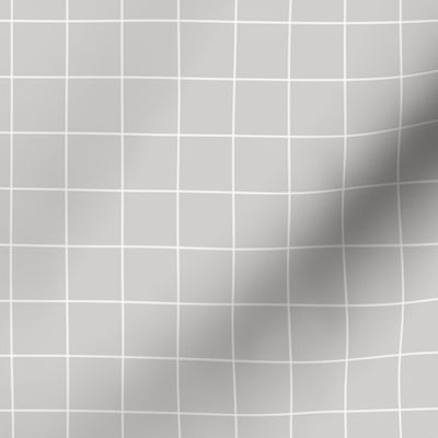 White Grid Lines on Gray