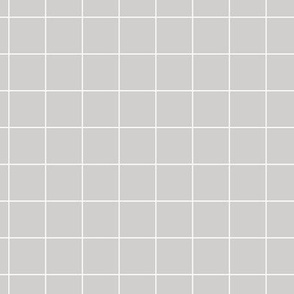 White Grid Lines on Gray