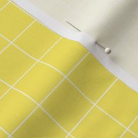 White Grid Lines on Yellow