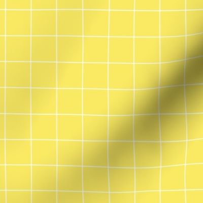 White Grid Lines on Yellow