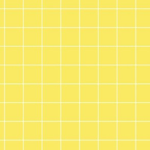 White Grid Lines on Yellow