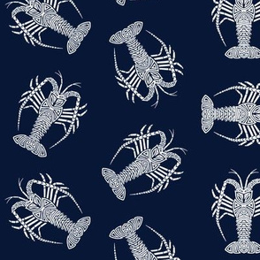 Spiny Lobster White on Navy