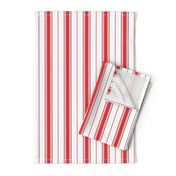 Chevron Stripe in Rouge