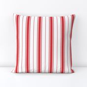 Chevron Stripe in Rouge