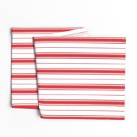 Chevron Stripe in Rouge