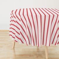 Chevron Stripe in Rouge