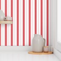 Chevron Stripe in Rouge