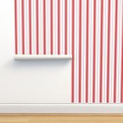 Chevron Stripe in Rouge