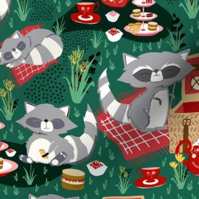 Raccoon Picnic