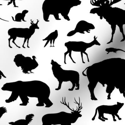 North American Animals // Large