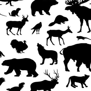 North American Animals // Large