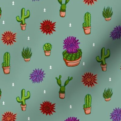 Colorful Cacti and Desert Plants